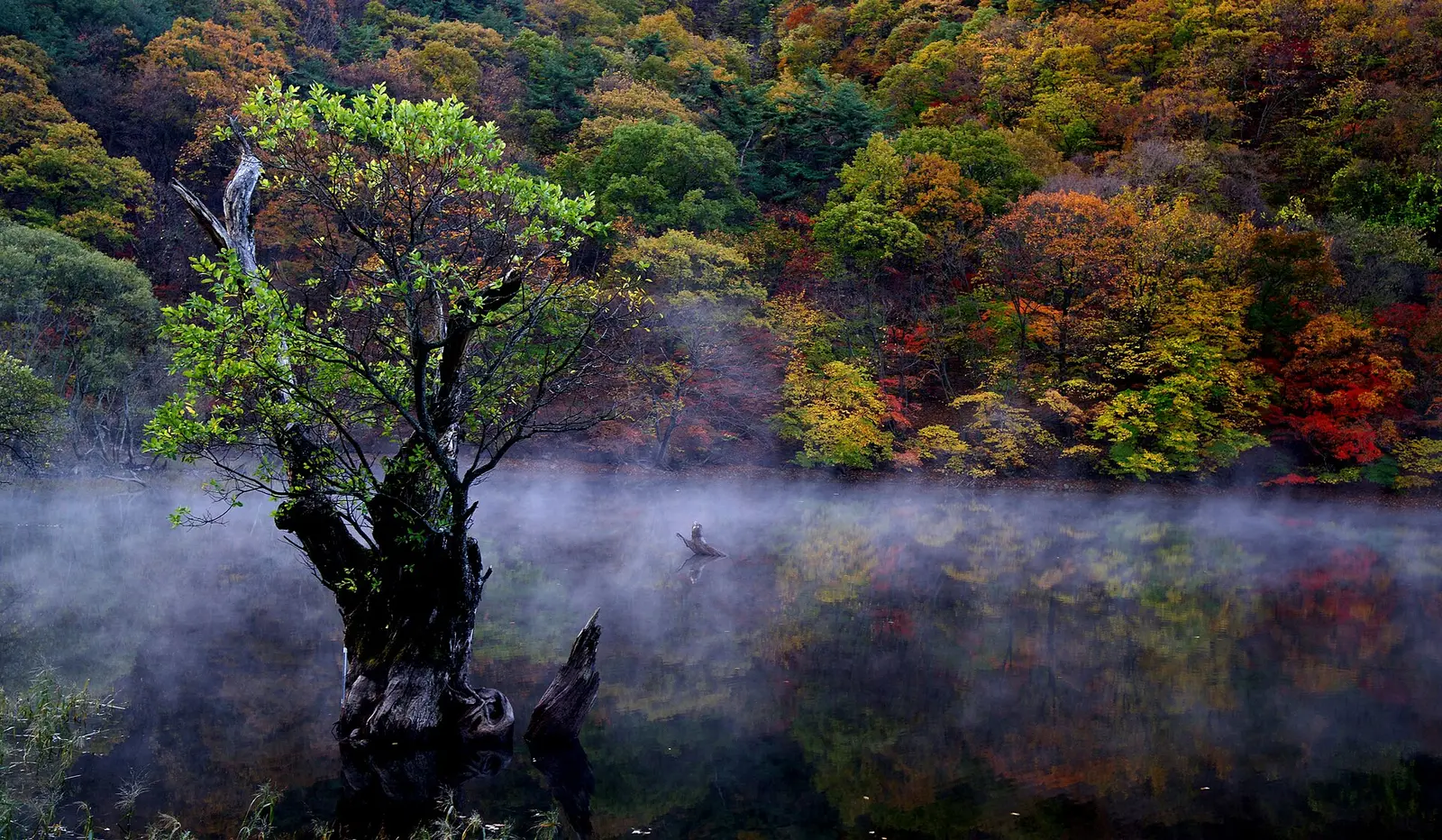 Autumn trees reflected in Jusanji pond in Cheongsong